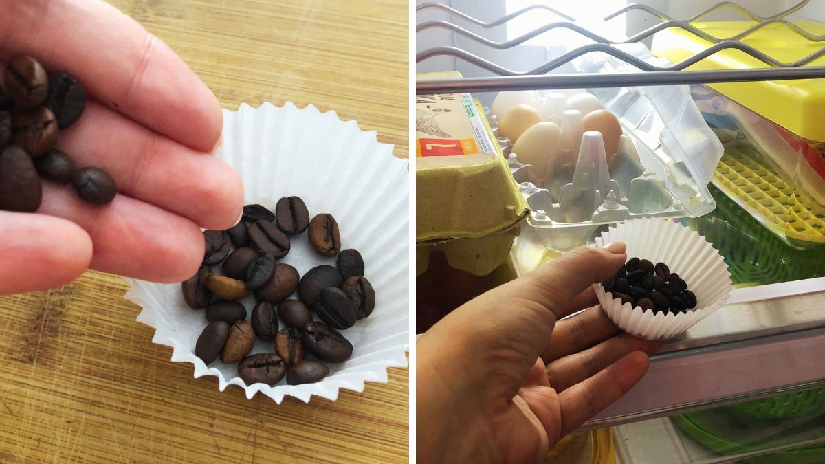 Kawa jest świetnym pochłaniaczem zapachów