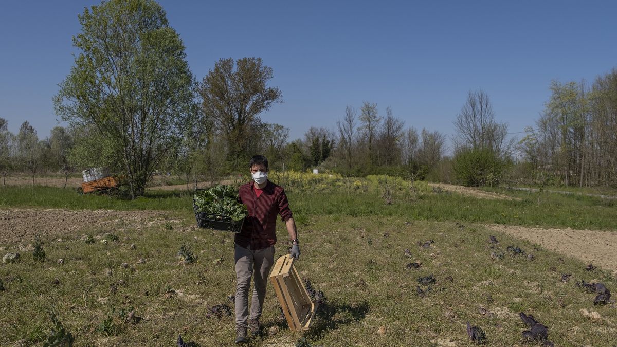 We Włoszech brakuje rąk do pracy. Cudzoziemcy nie pomogą