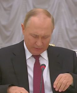 Tak wygląda przemyt ukraińskiego zboża. Rosja i Syria generują gigantyczne zyski