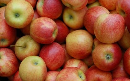 Ceny jabłek idą w górę. Wszystko przez małe zbiory i duży eksport