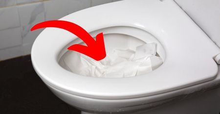 Owiń tym sedes i spuść wodę. Udrożnisz toaletę bez pomocy hydraulika!