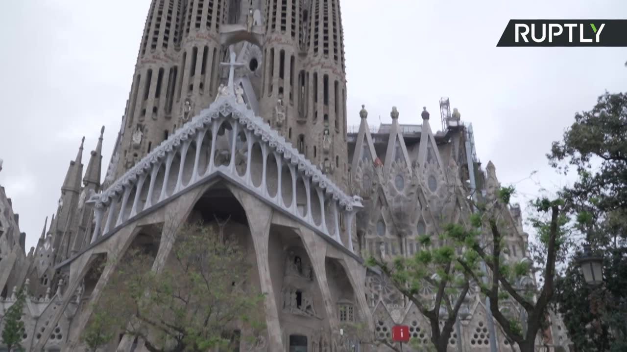 Nowi mieszkańcy bazyliki Sagrada Familia w Barcelonie.