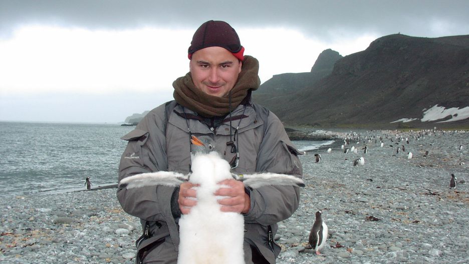 Miłość do zwierząt i Arktyki