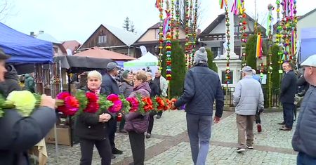 Obchody Niedzieli Palmowej w Lipnicy Murowanej. Najwyższa tegoroczna palma mierzy ponad 27 metrów