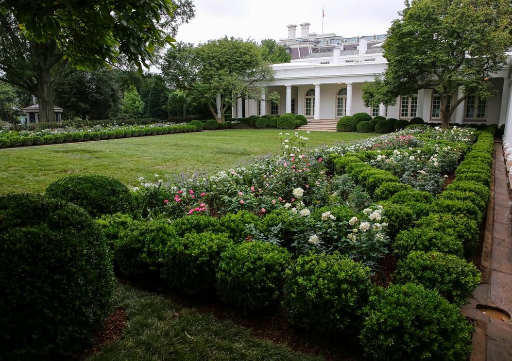 Zeszłego lata Melania Trump zaprezentowała swoje prace remontowe w Ogrodzie Różanym w Białym Domu