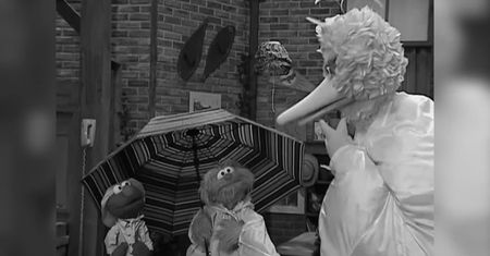 W wieku 85 lat zmarł Caroll Spinney, odtwórca roli Wielkiego Ptaka z „Ulicy Sezamkowej”
