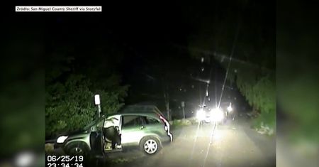 Policjanci z Kolorado uwolnili niedźwiedzia, który… zatrzasnął się w samochodzie