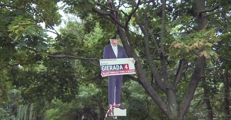 Powiesili podobiznę polityka PO na drzewie. Szuka ich policja