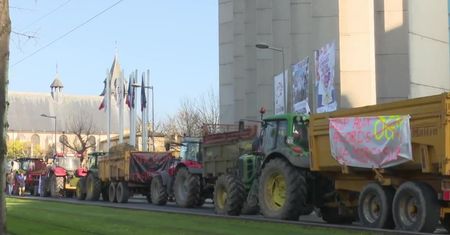 Francuscy rolnicy protestują przeciwko umowie handlowej z Ameryką Płd. Boją się spadku cen mięsa