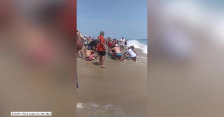 Wędkarze złapali rekina młota. Zrobili z nim zdjęcie i wypuścili go ponownie do morza w USA
