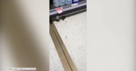 Australii brakuje papieru toaletowego. Na podłodze supermarketu znaleziono… kupę
