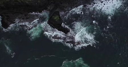 Już jutro Światowy Dzień Oceanów. Poznajcie fakty i ciekawostki