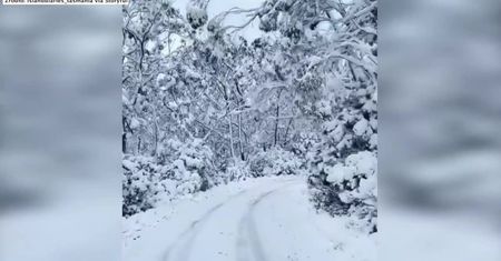 Tasmania zasypana śniegiem. Mroźne powietrze z Antarktydy dotarło do Australii