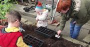 Dziś Światowy Dzień Środowiska. Jak o nie dbać w czasie pandemii?