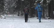 W górach atak zimy, jest niebezpiecznie. W Karkonoszach zamknięto oblodzone szlaki