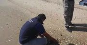 Morze wyrzuciło na meksykańską plażę 125 martwych żółwi