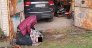 Warszawska policja zlikwidowała dwie „dziuple samochodowe”