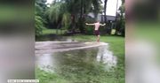 Ten mężczyzna zrobił wrażenie na swoim psie… surfując w ogródku