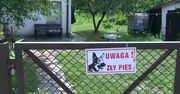 Pies zaatakował dzieci, ojciec usłyszał zarzuty. Mężczyźnie grozi do 5 lat więzienia