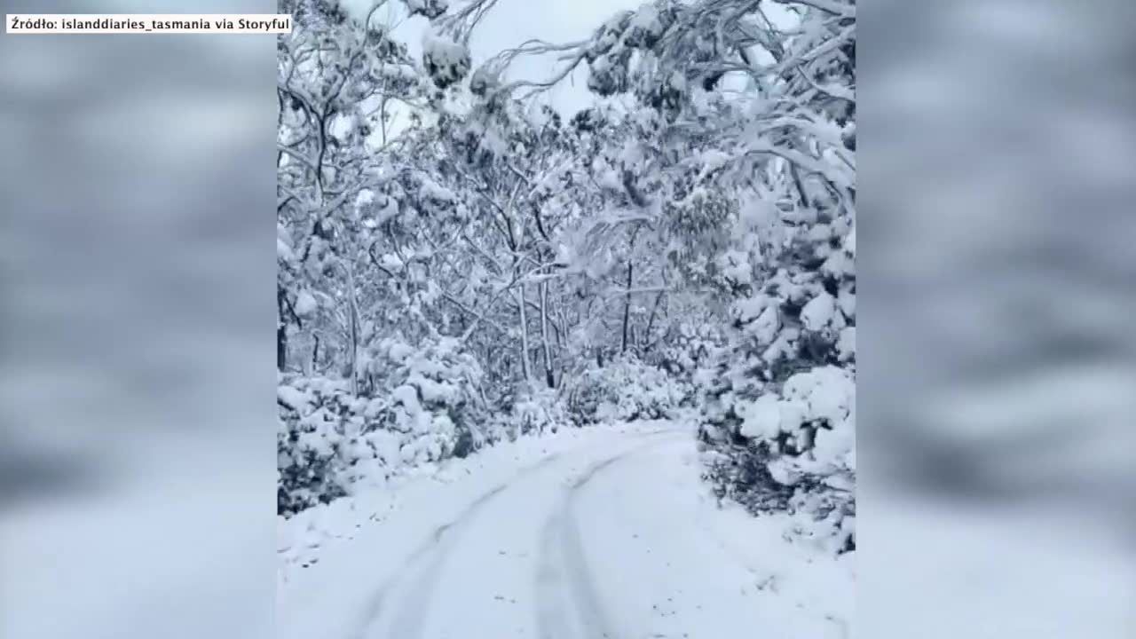 Tasmania zasypana śniegiem. Mroźne powietrze z Antarktydy dotarło do Australii