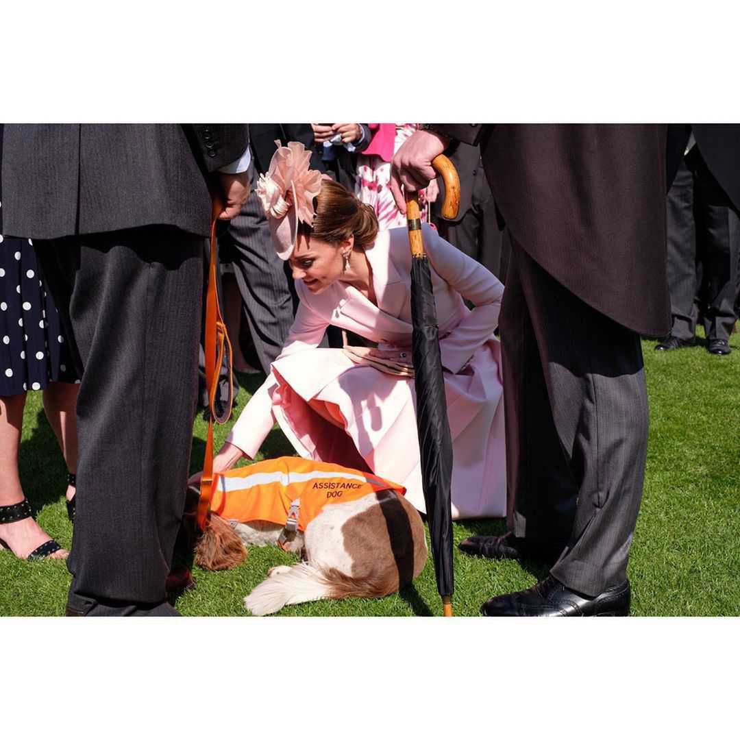 Stylowa księżna Kate