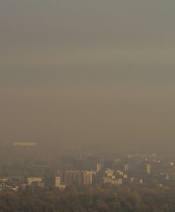 Smog w Warszawie. Będzie tak samo źle, jak rok temu?