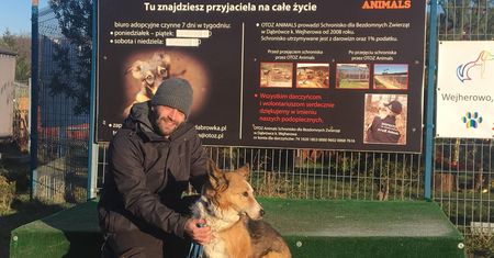 Historia jak z filmu. Zaginiony pies wrócił do swojego właściciela po 2 latach