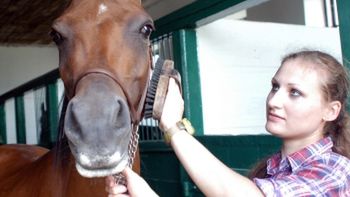 Masztalerz Danuta Marszałek przygotowuje konia o imieniu Sigma do tegorocznego święta