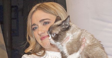 Ministerstwo Cyfryzacji żegna Grumpy Cat. "Jest nam po ludzku przykro" - i smutna buźka