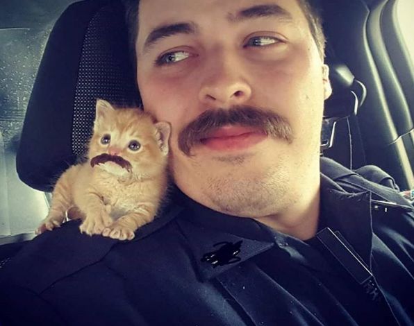 Policjant uratował kociaka. Zostali partnerami