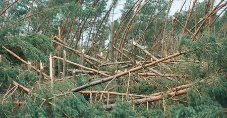 Trwa usuwanie skutków nawałnic. Ponad 60 tys. odbiorców bez prądu