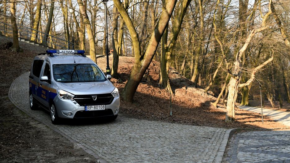 Koronawirus w Polsce. Lasy Państwowe wprowadzają tymczasowy zakaz wstępu do lasów (zdj. ilustracyjne)
