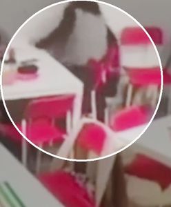 "Chytra baba" z Pruszcza. Ukradła dziecku torbę z prezentami