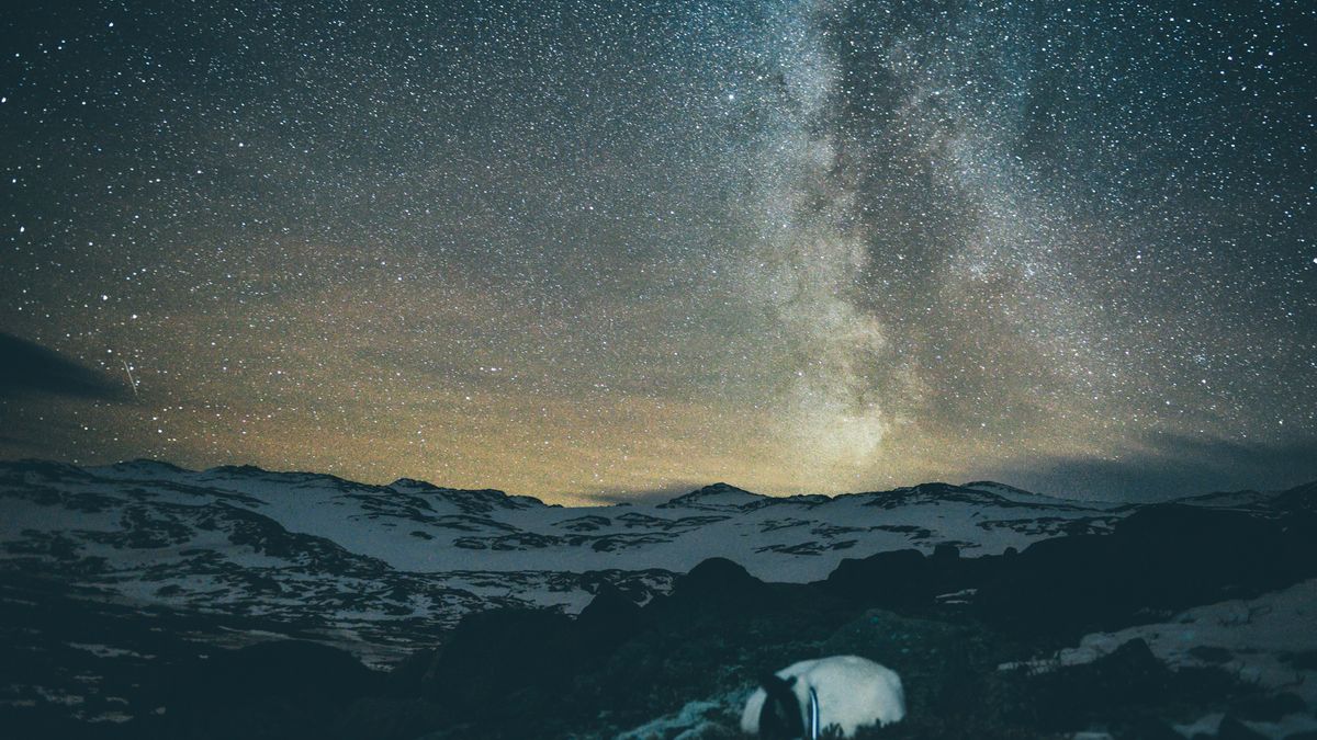 Fotograf rzucił pracę, by podróżować ze swoim psem - poznaj przygody Henrika Vikse i Akiaka 1