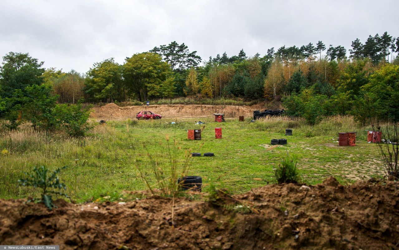 Atak psów pod Zieloną Górą. Zarzuty dla właściciela