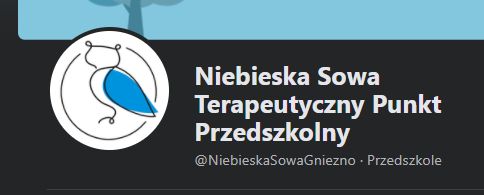 Logo strony "Niebieska Sowa" jest zbyt podobne do loga DFT