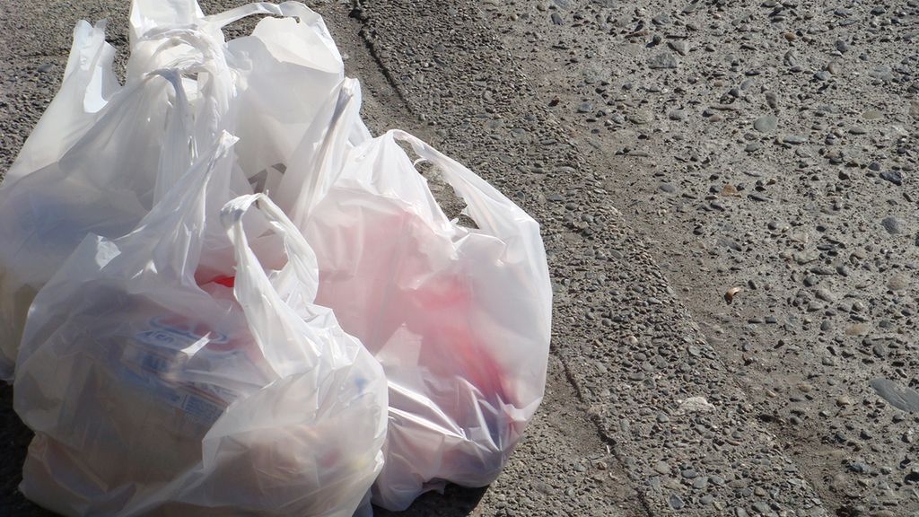 Polski rząd chce od przyszłego roku wdrożyć unijną dyrektywę. Siatki w sklepach będą płatne