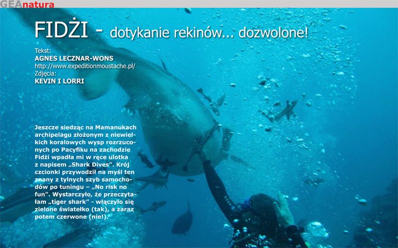 Nowy numer miesięcznika FotoGeA dostępny w Sieci 4
