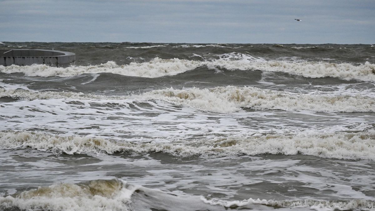 Ba�tyk
Marcin Bielecki
Ba�tyckie, Ba�tyk, fale, morze, pogoda, stycze�, sztorm, sztormowa, warunki sztormowe, woda, wysoka fala, zima