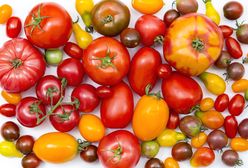 Pomidor - warzywo na upały