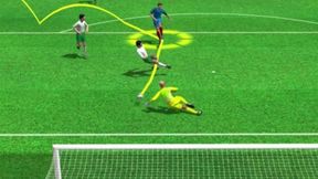 Francja - Irlandia. Zobacz animacje bramek