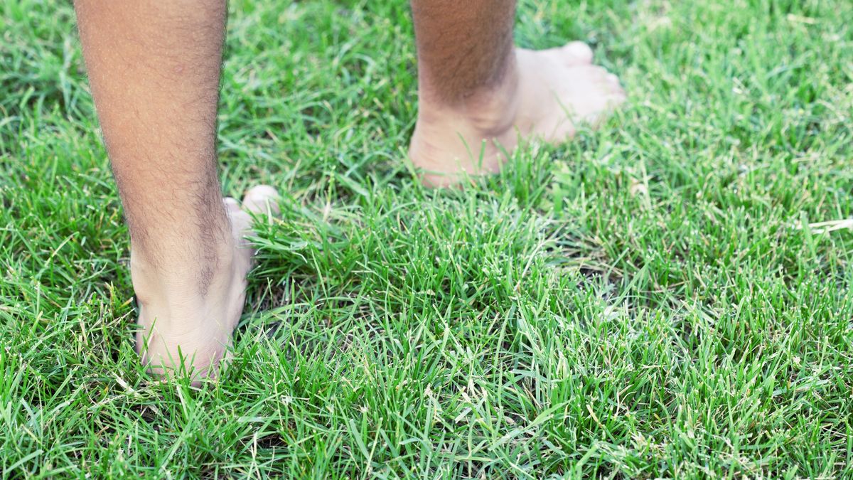 Prokurator, który spacerował nago, już wcześniej wzbudzał kontrowersje