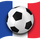 Euro 2016 Francja Jalvasco ikona
