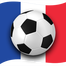 Euro 2016 Francja Jalvasco icon