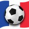 Euro 2016 Francja Jalvasco icon