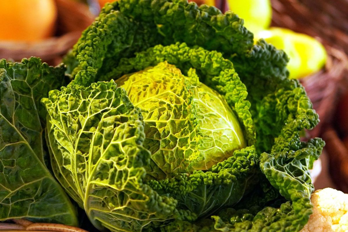 Vegetables belong to anti-inflammatory food.