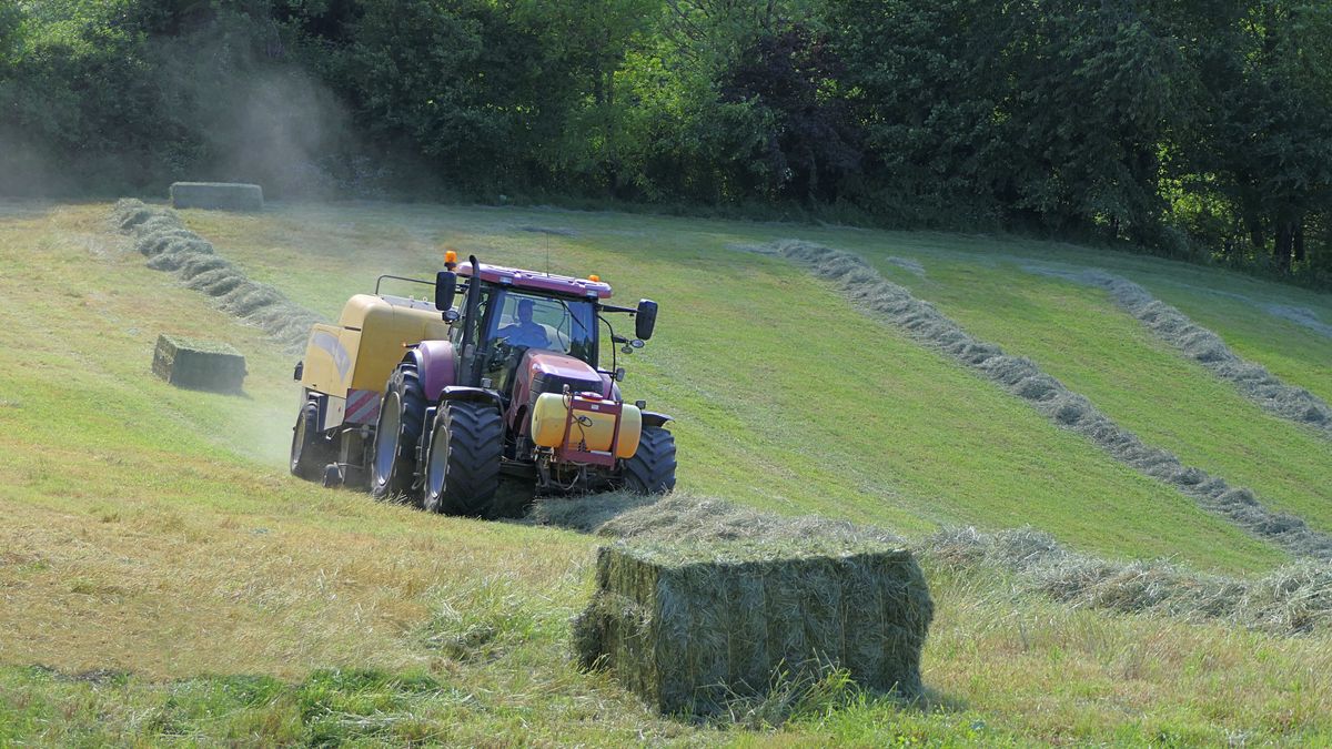 Zdjęcie ilustracyjne 