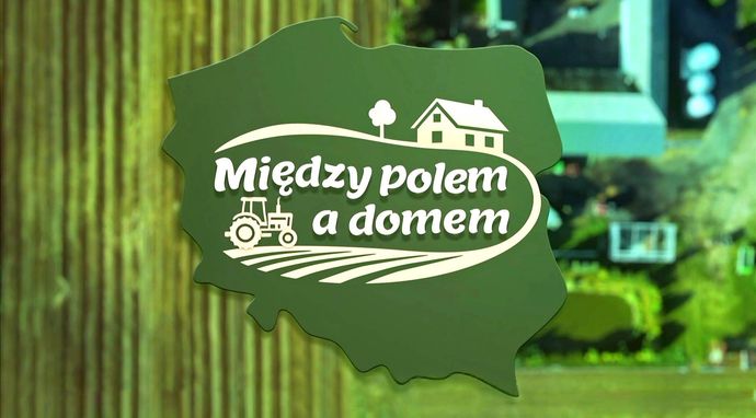 Między polem a domem