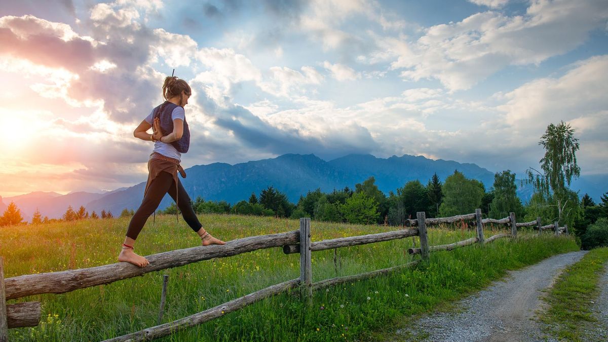 W celu utrzymania homeostazy należy dostarczać wszystkim komórkom niezbędnych substancji odżywczych