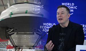 Tesla rezygnuje z flagowych modeli. Musk przesuwa zasoby w stronę robotów
